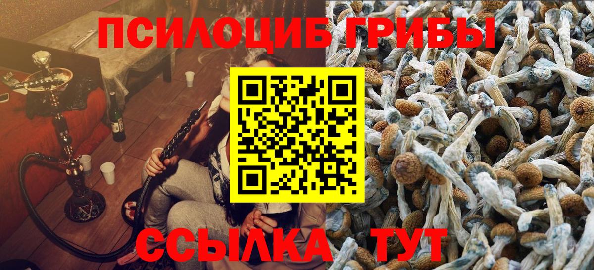 Галлюциногенные грибы Psilocybe Старый Оскол